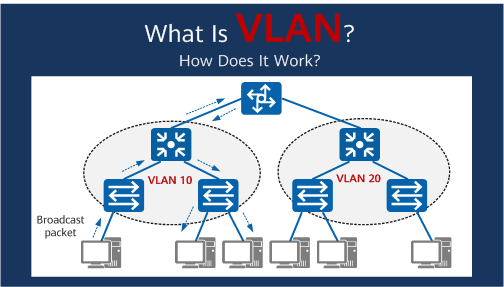 Configura tu Red con Estilo: Configuración de VLAN en Switches TP-LINK